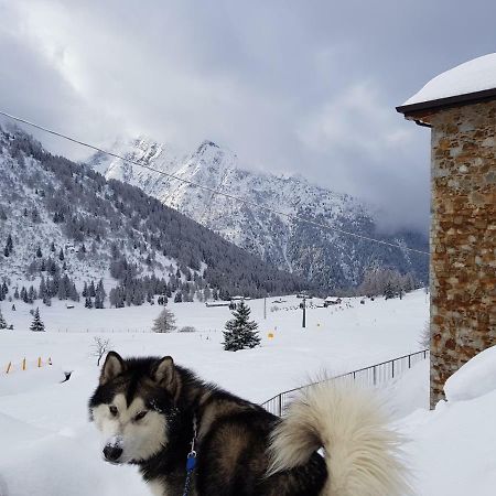 Apartament Sci Ai Piedi,Passeggiate,Mountain Bike,Relax Passo del Tonale Zewnętrze zdjęcie