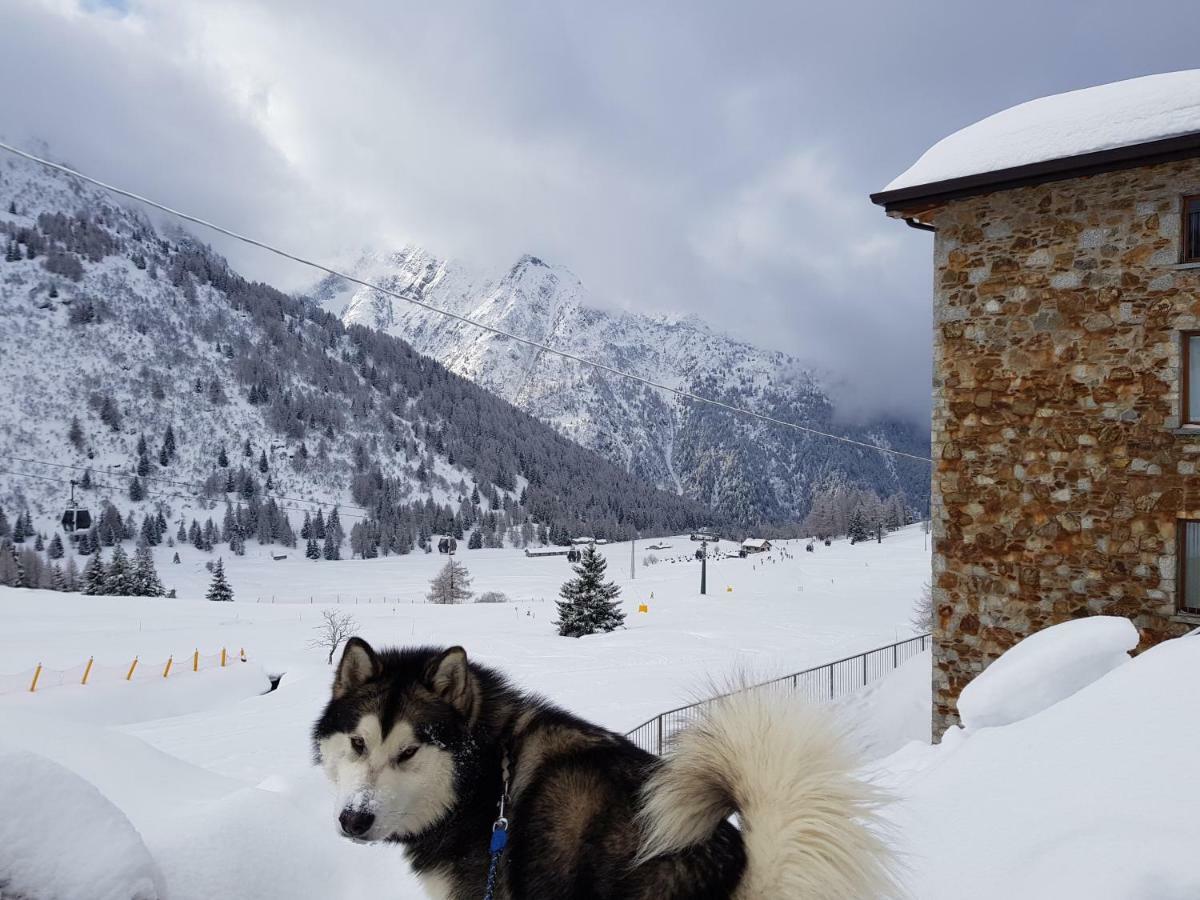 Apartament Sci Ai Piedi,Passeggiate,Mountain Bike,Relax Passo del Tonale Zewnętrze zdjęcie
